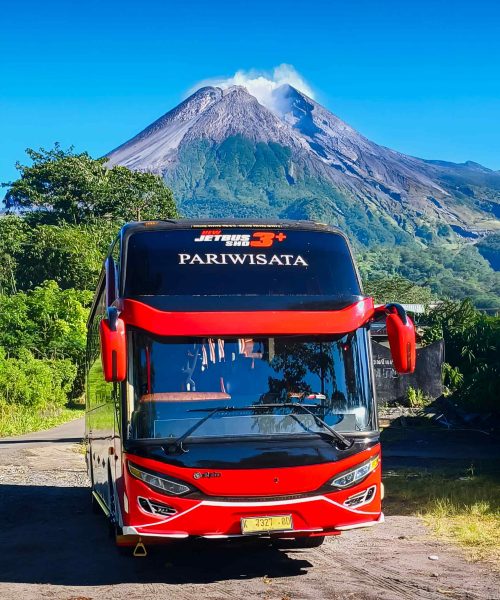 Bigbus 2